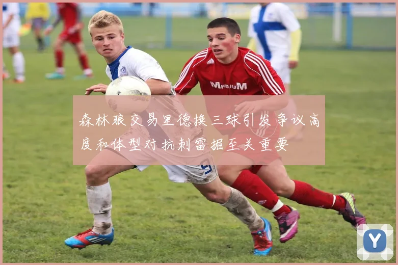 森林狼交易里德换三球引发争议高度和体型对抗刺雷掘至关重要