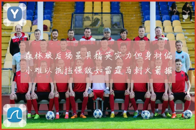 森林狼后场虽具精英实力但身材偏小难以抵挡强敌如雷霆马刺火箭掘金